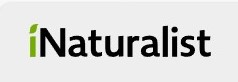 iNATURALIST